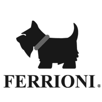 Ferrioni